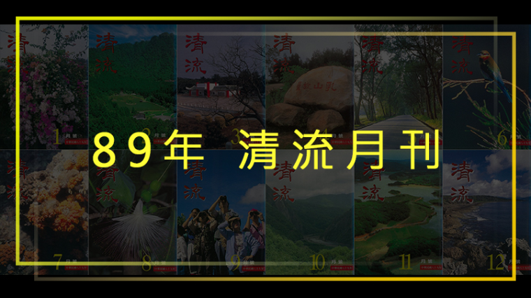 89年清流月刊第8卷第7期至第9卷第6期(全年度期刊請點選右側"翻頁電子書") 封面圖片