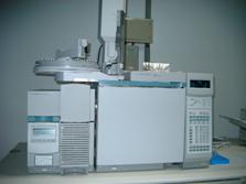 Gas chromatograph/mass spectrometer