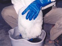 Methamphetamine Clandestine Lab (EMDE method) picture 3