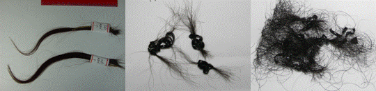 Hair types：Head hair, Axillary hair, Pubic hair