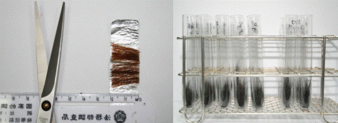 Procedures of segmental analysis for hair samples