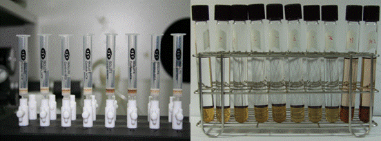 Solid phase extraction and liquid-liquid extraction for hair analysis