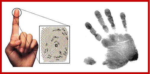 Development of latent fingerprint and identification of fingerprint picture one
