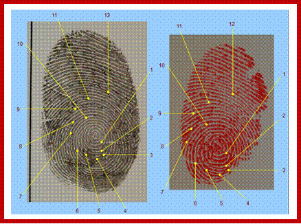 Development of latent fingerprint and identification of fingerprint picture one