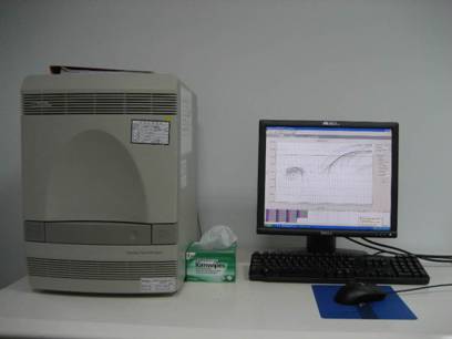 Real-Time PCR