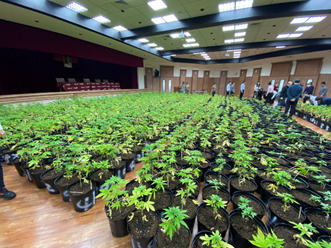 邱○○等栽種大麻毒品案證物