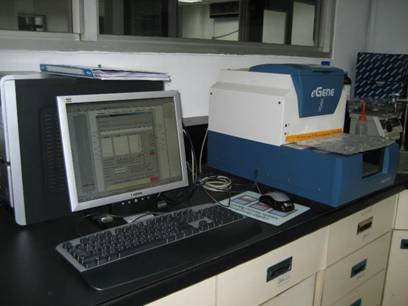 PCR product detection system
